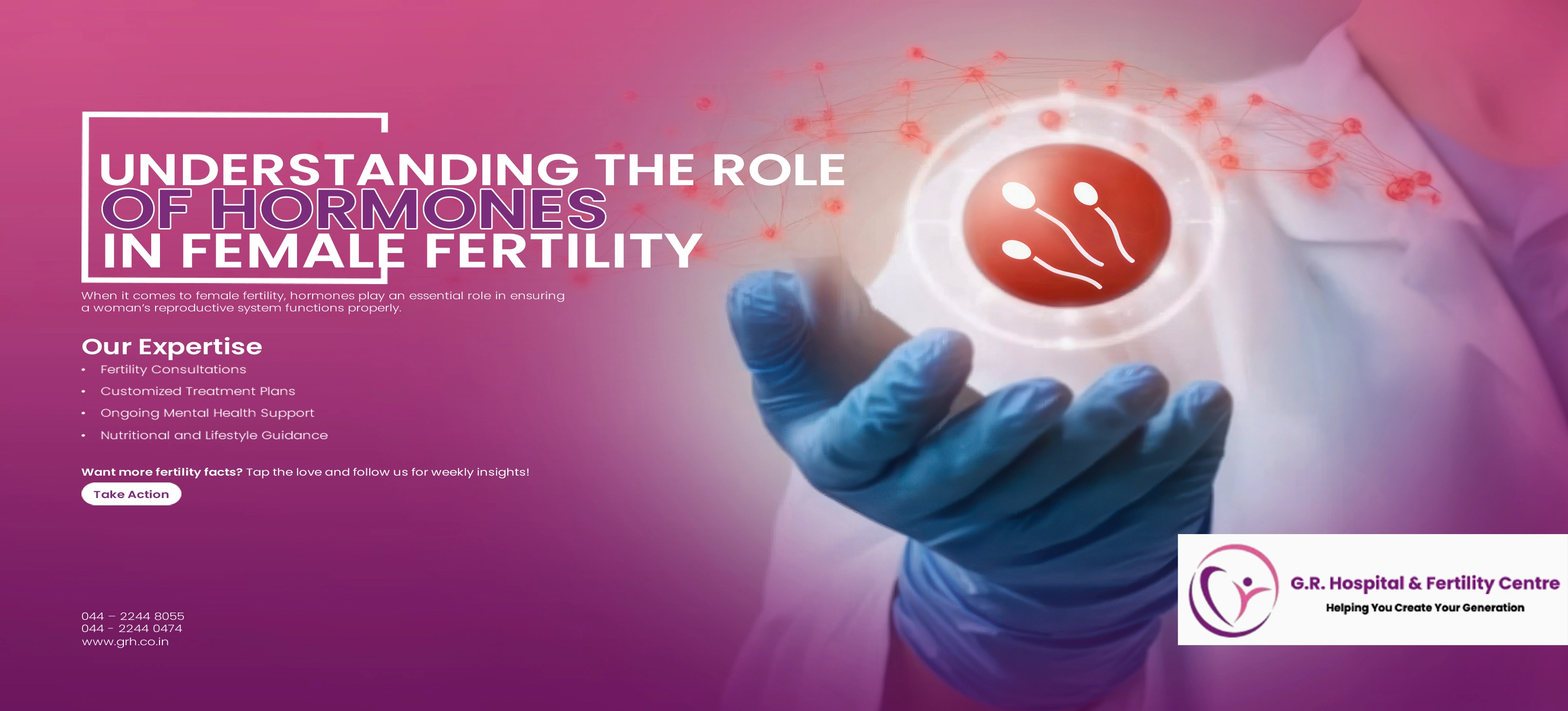Understanding the Role of Hormones in Female Fertility Understanding the Role of Hormones in Female Fertility