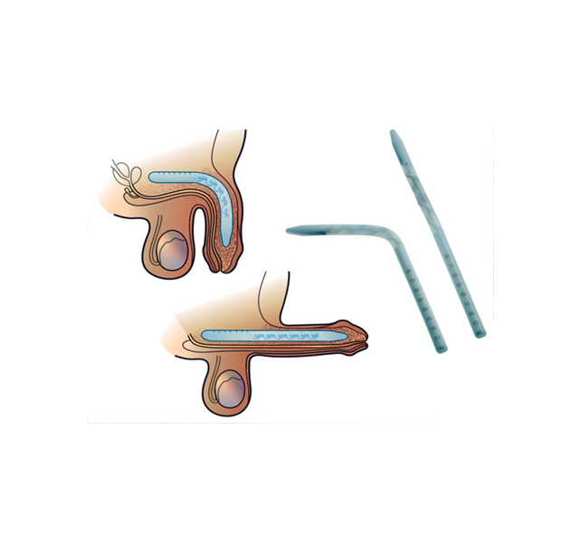 andrology andrology