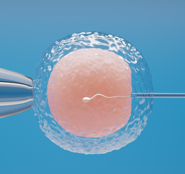 ivf ivf