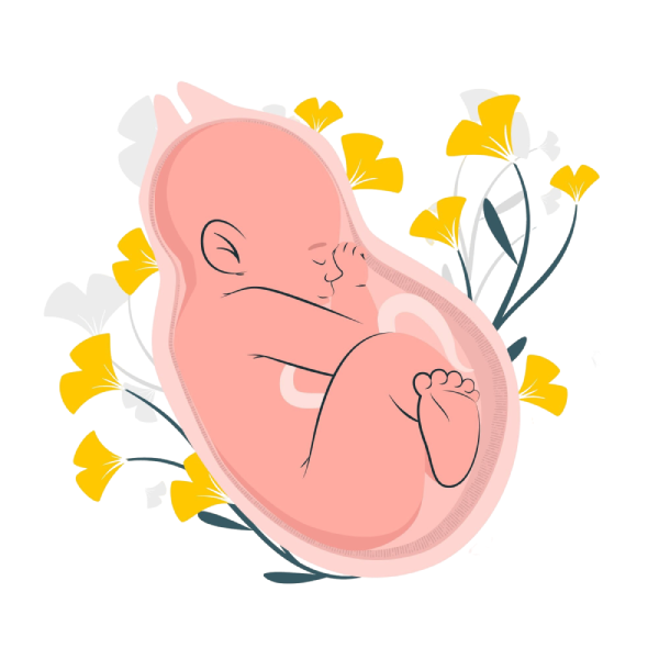 pregnancy care pregnancy care